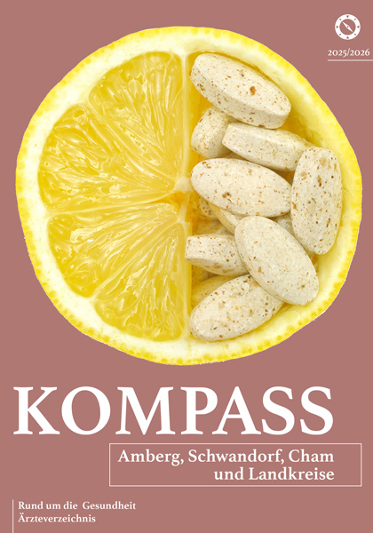 kompass amberg schwandorf cham und landkreise